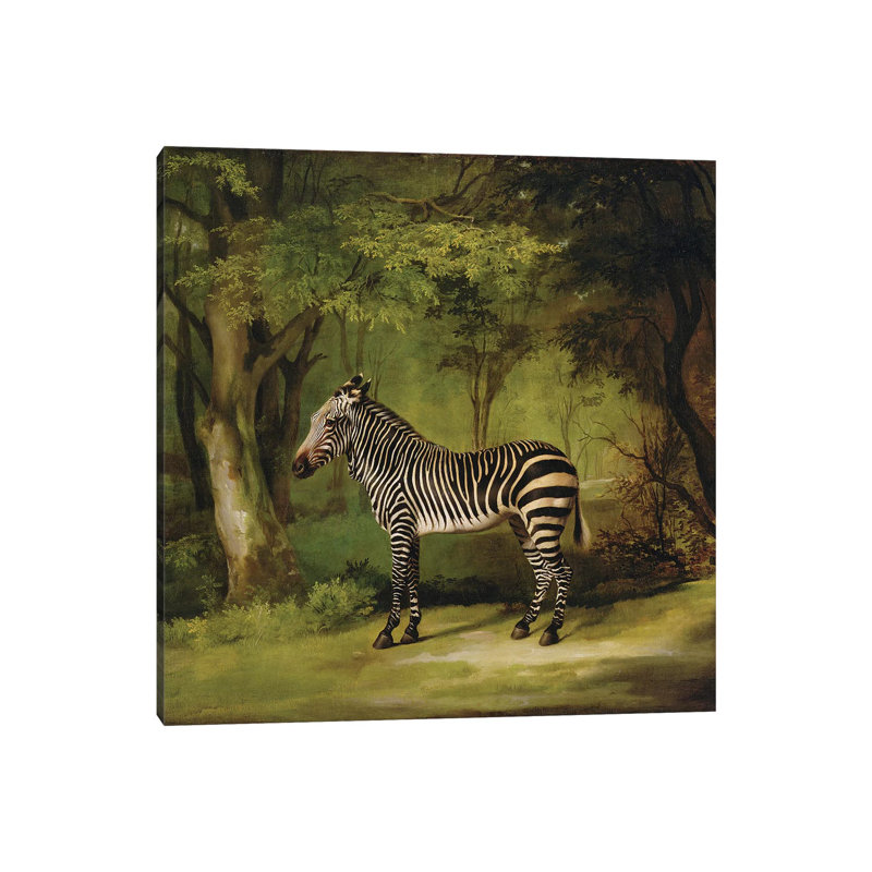 A Zebra, 1763 by George Stubbs - Painting on Canvas, Wrapped Canvas, 45.72cm H x 45.72cm W x 3.81cm D