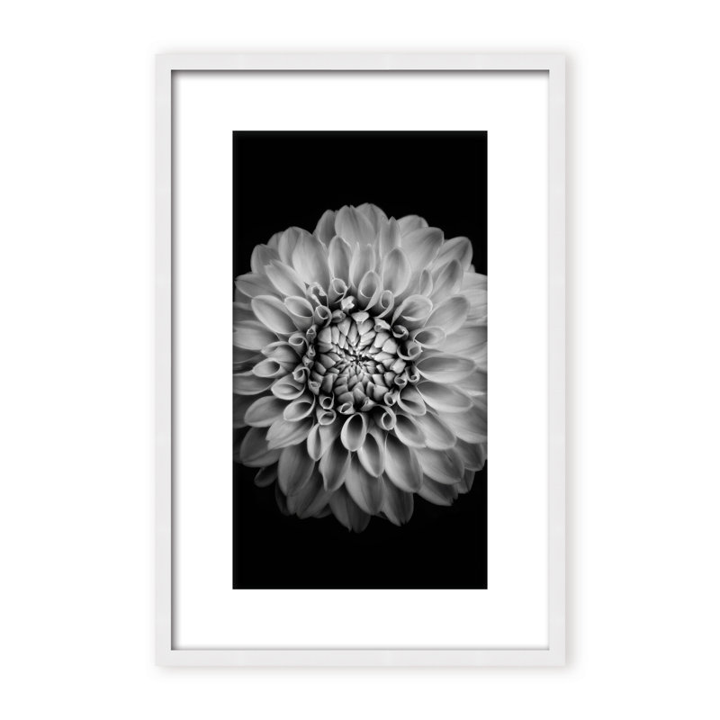 Nature Inspired Marigold by  - Picture Frame Photograph on Paper, 24" H x 16" W x 1.125" D, Black, Framed Matted Print