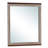 Magnolia Gray/Brown Wall Mirror