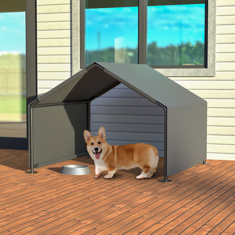 Abri pour chien, Gris