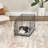 Abstract Pet Bed-96574280-96574281