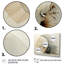 Asian Art Seashell Sumi IV, reproduction d'art sur toile-947421132-947421137