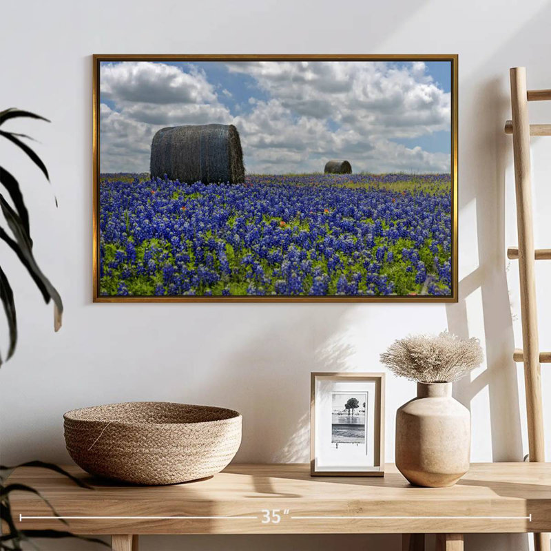 Texas Bluebonnets, 25 po x 17 po, Cadre flottant doré