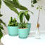 Pots de plantes d'intérieur avec drainage - Paquet de 5 jardinières en plastique de 7 / 6,6 / 6 / 5,3 / 4,8 pouces - Parfait pour les décorations de Noël à la maison ou les bas de Noël-1750188476