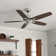 52" Builder Elite 5 - Blade Standard Ceiling Fan with Pull Chain