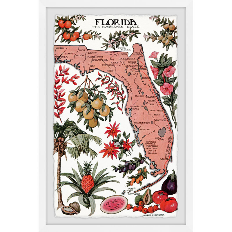 Florida, the Everglade State - Cadre photo, reproduction d'art sur papier, H 30 po x l 20 po x P 1,5 po