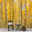 Murale automne-498629899