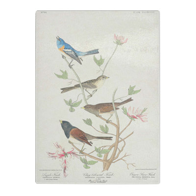 Tempered Glass a Collection of Finch Birds Chopping Board