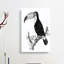 Toucan In Black & White by George Shaw - Wrapped Canvas-55330629