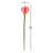 Calla Lilies Arrangement-29312063