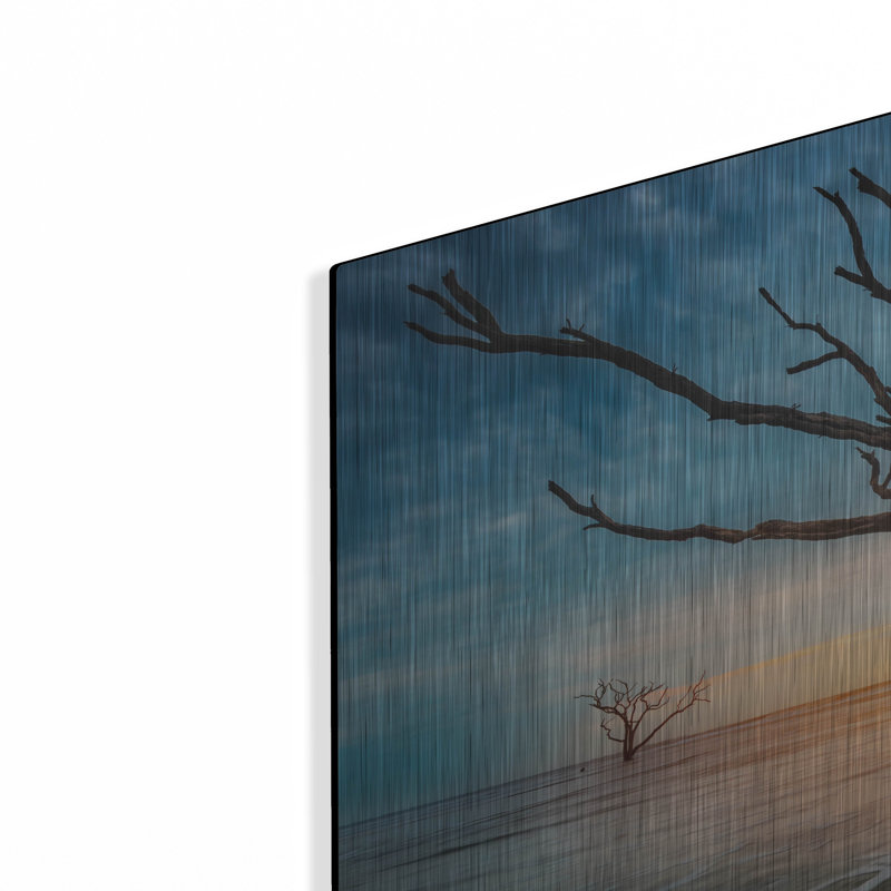 Highland Dunes 'Resilient' by Rick Berk Metal Wall, 24" H x 36" W
