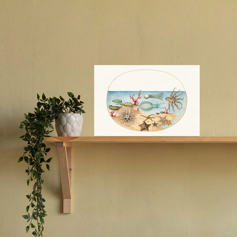 «Vintage Ocean Creatures Vintage Starfish Octopus Beach Nature», reproduction d'art murale, 16" H x 24" W