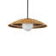 Barbary 1 - Light Pendant-690880056