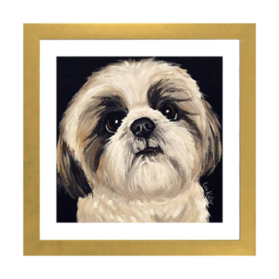 «Shih Tzu On Black I», reproduction de photo