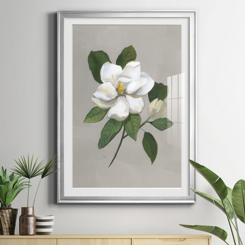 Magnolia botanique - reproduction de photo encadrée sur papier, Argent, H 18,5 po x l 24,5 po x P 1,5 po