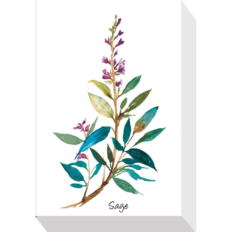 Herb Study I - Single Picture Frame Rectangle Print on Canvas, Wrapped Canvas