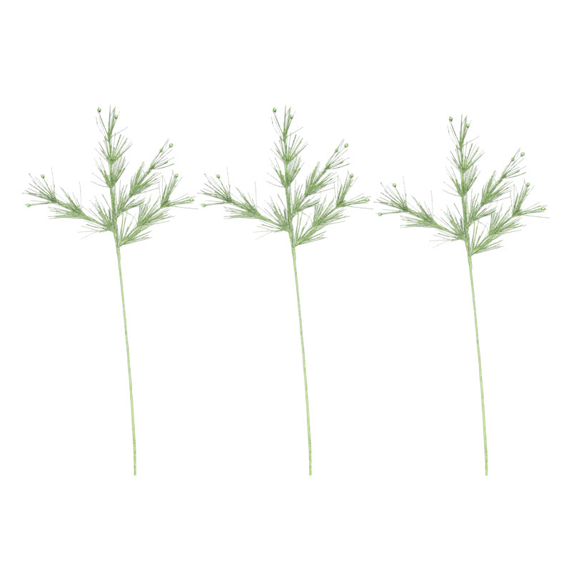 Choix de branche, Vert citron