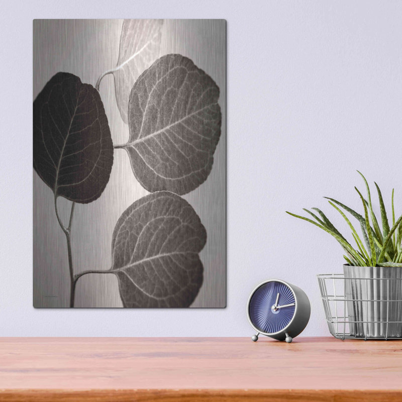 "Eucalyptus sépia" par Debra Van Swearingen, H 16 po x l 12 po
