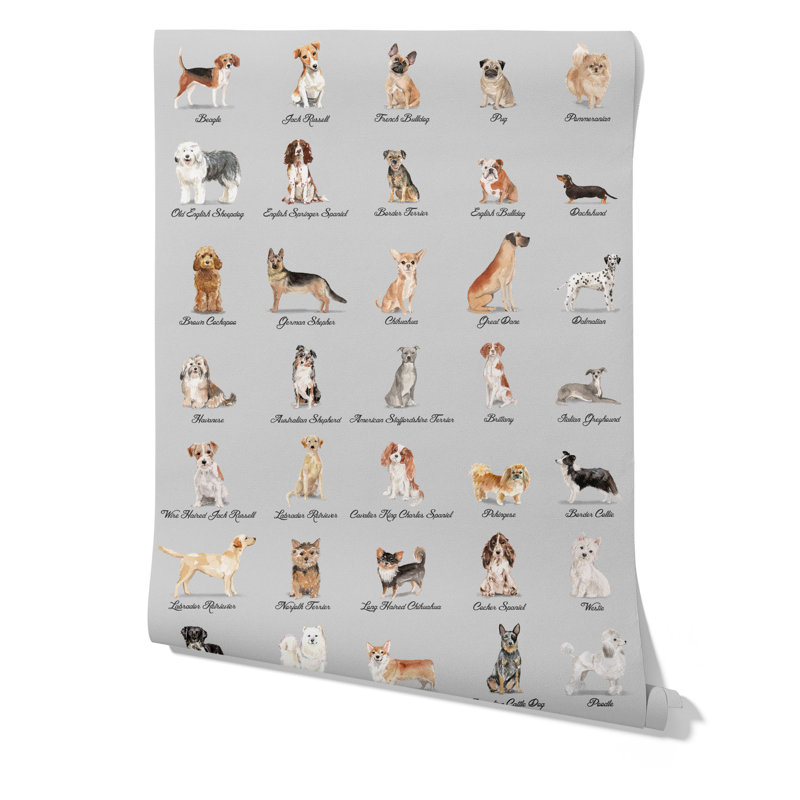 Dogs Wallpaper Grey Background