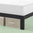 Camea Contemporary Modern Metal Platform Bed-1563246430