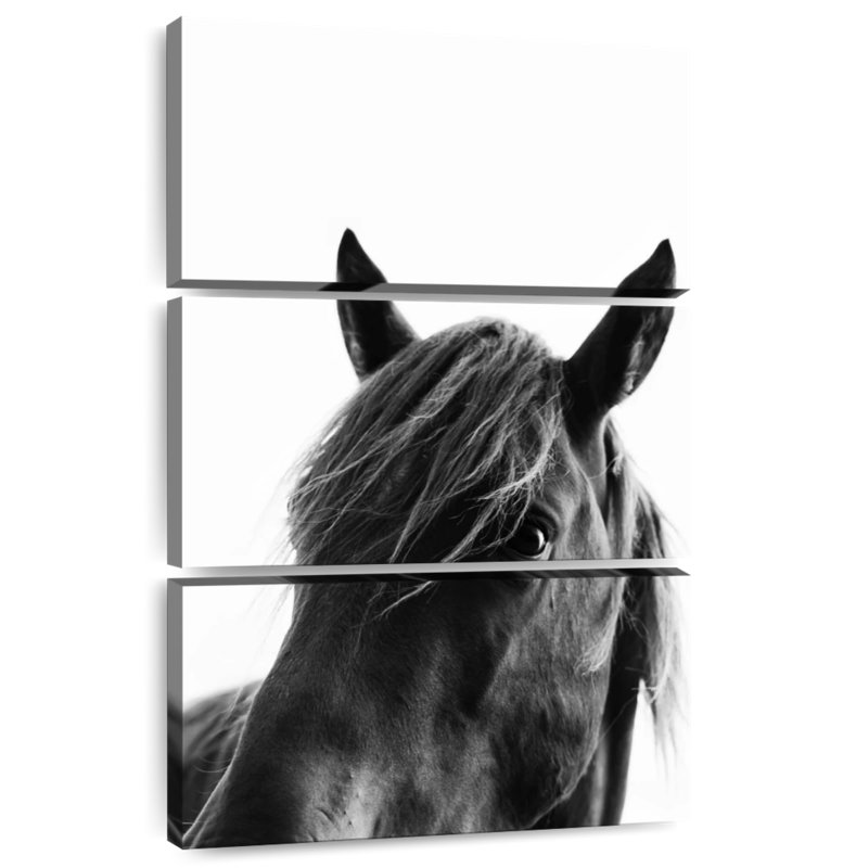 Brampt Wild Black Horse, 57" H x 36" W