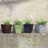 Alaunah Pot Planter-856830633-856830645
