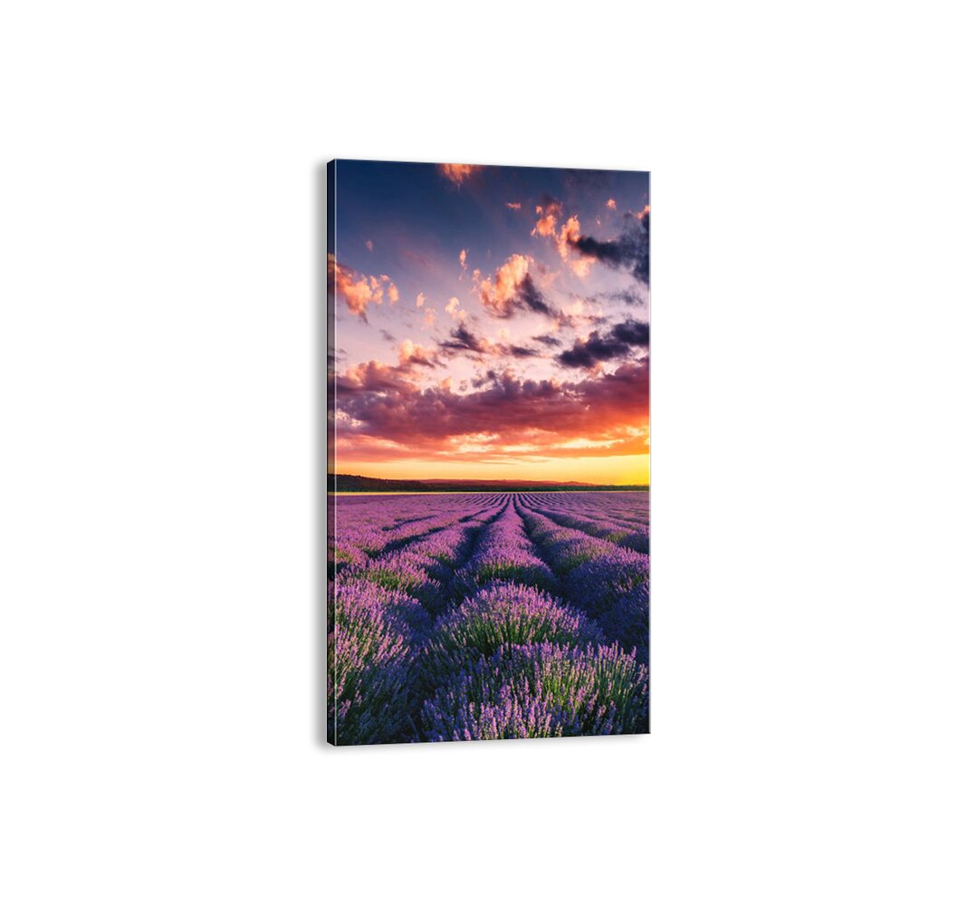 Leinwandbild - Fotografie „Lavender World”