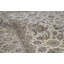 Oriental Area Rug in Ivory