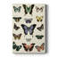 Flutterbys II - Cavas enveloppés de galerie-85924578