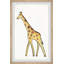 «Cassie Walking Giraffe», reproduction encadrée-747657764