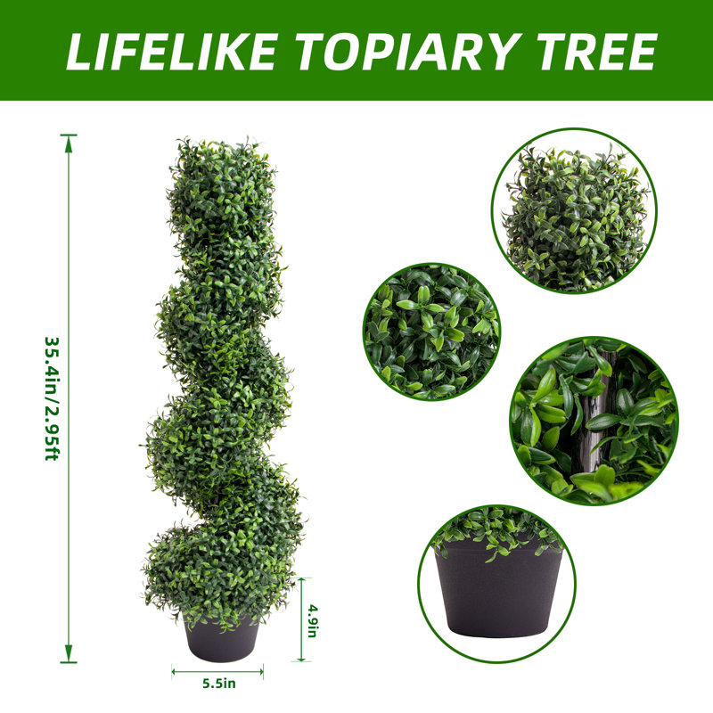90cm Plant