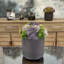 Faux Succulent Plant in Fiberstone Planter-2044098633-2044098632-2065890681