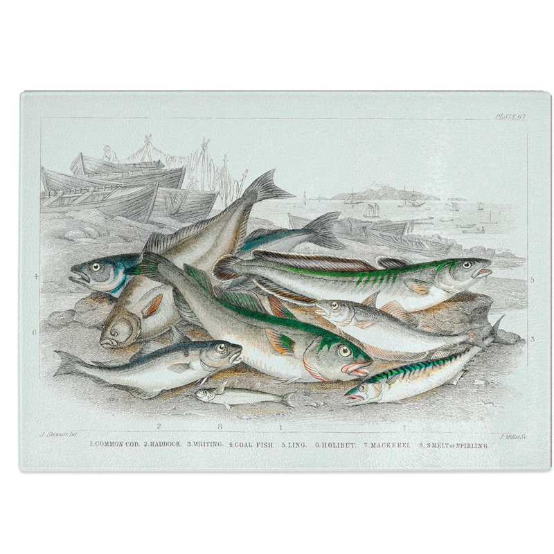 Tempered Glass Beached Fish Pl. 67 Chopping Board, 28.5 cm W x 20 cm L