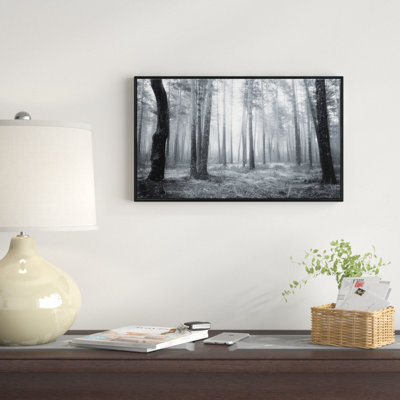 «Black and White Foggy Forest», reproduction de photo sur toile tendue