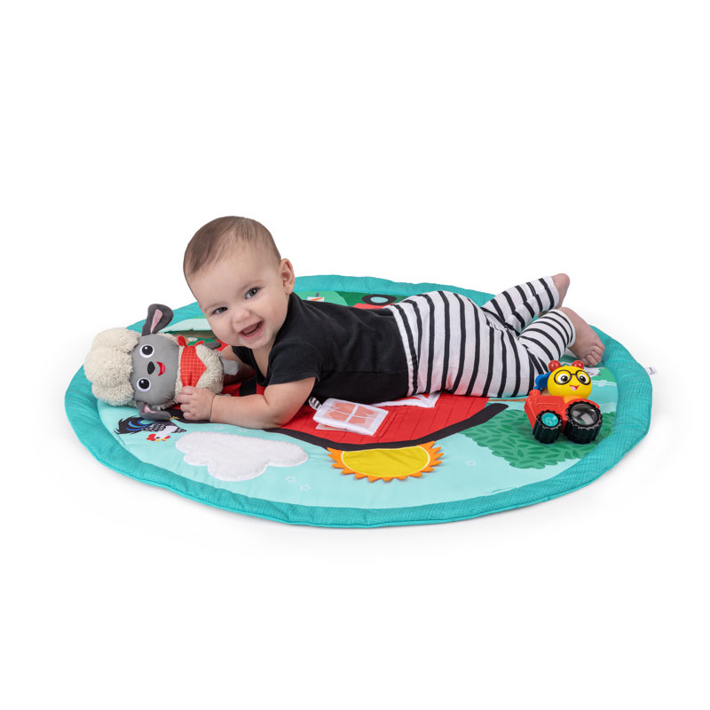 Happy Harvest Touch & Feel Activity Gym