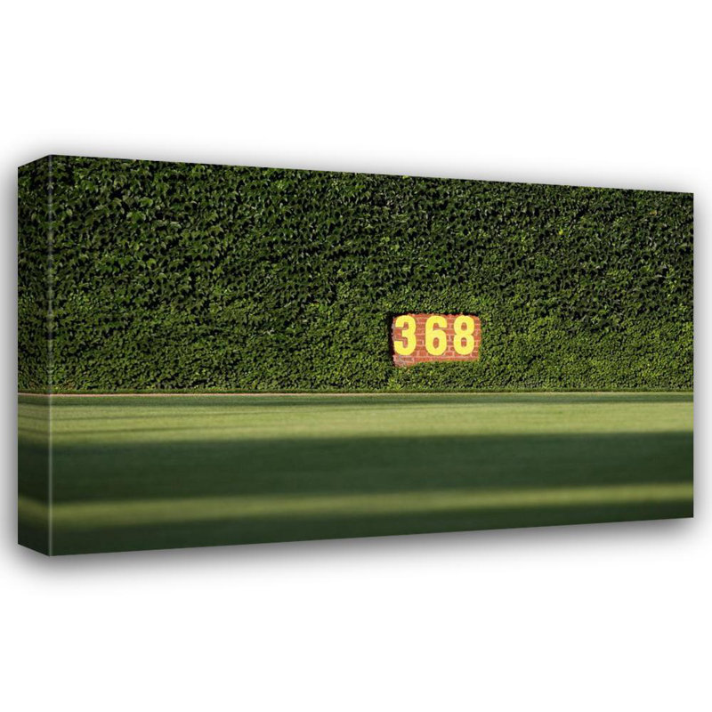 Wrigley Field Ivy, H 25 po x l 40 po