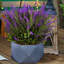 Reinforced Stone Bowl Planter, Faceted Shallow Planter, Bonsai Pot-1661337764-1661337767
