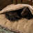 Pendleton Burrow Bed-126517498-126517497