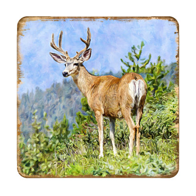 Wood Square 4 Piece Coaster Set