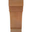 Queue de chevron Pescadero-64727779-101901235