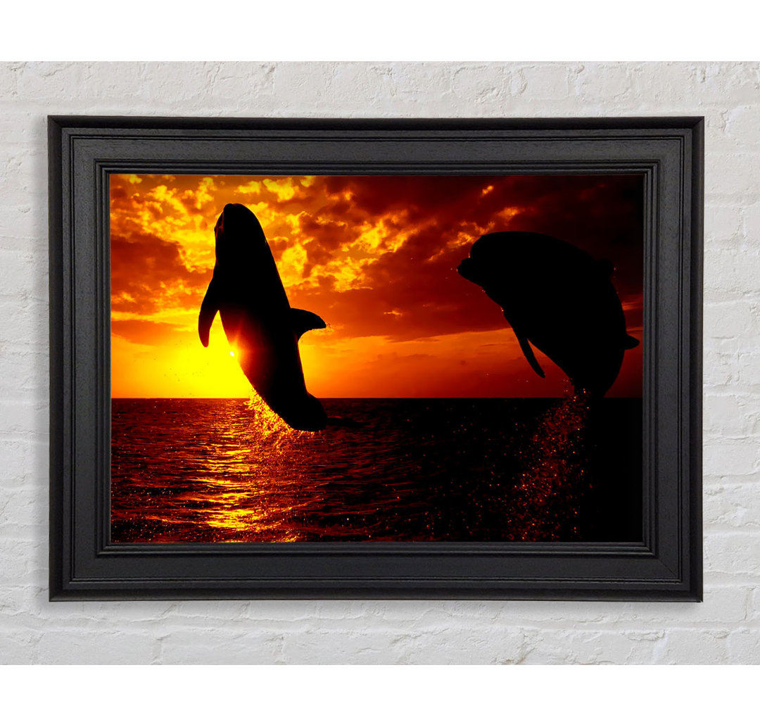 Gerahmter Fotodruck Dolphins Sunglow