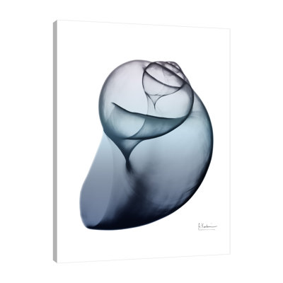 Lavendar Snail 3 - Wrapped Canvas Print