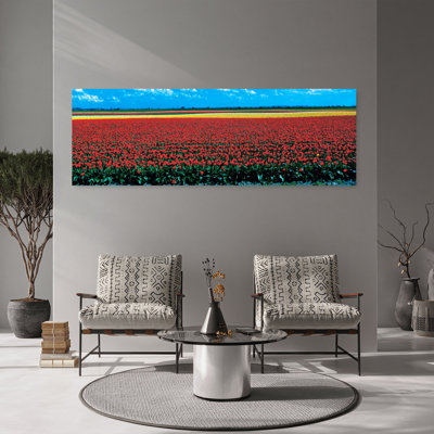 Tulipe champ près de Spalding, Lincolnshire, Angleterre, tulipe contemporaine colorée, fleur printanière, art mural