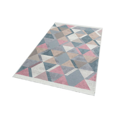 Arya Geometric Hand Woven Area Rug