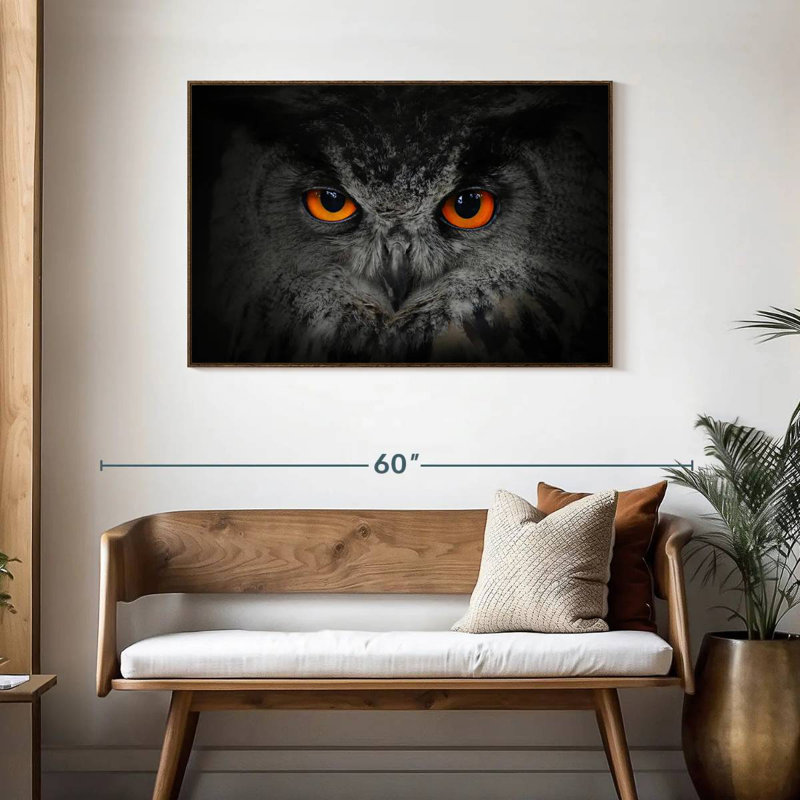 Hibou gris envoûtant, Cadre flottant noyer, 43 po x 29 po