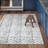 Lorelai Transitional Geometric Area Rug in Blue-1828586114