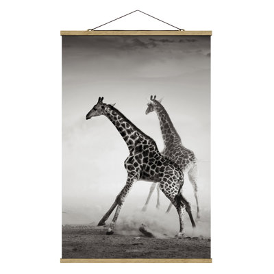 Giraffe Hunting - No Frame Print