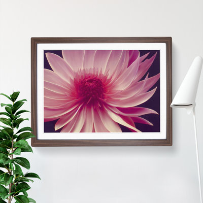 Cute Chrysanthemum Flower - Framed Print