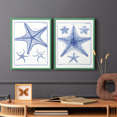 Blue Sea Stars VII-Premium Framed Print -Ready to Hang - No Nails Required - No Nails Required