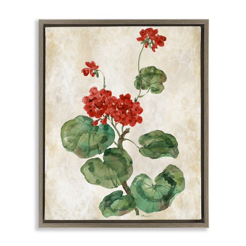 Cadre flottant Floral Journal, Cadre flottant orme Montalcino, H 21 po x l 17 po